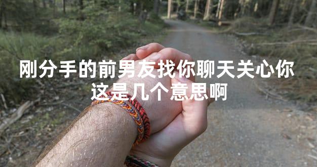 刚分手的前男友找你聊天关心你 这是几个意思啊